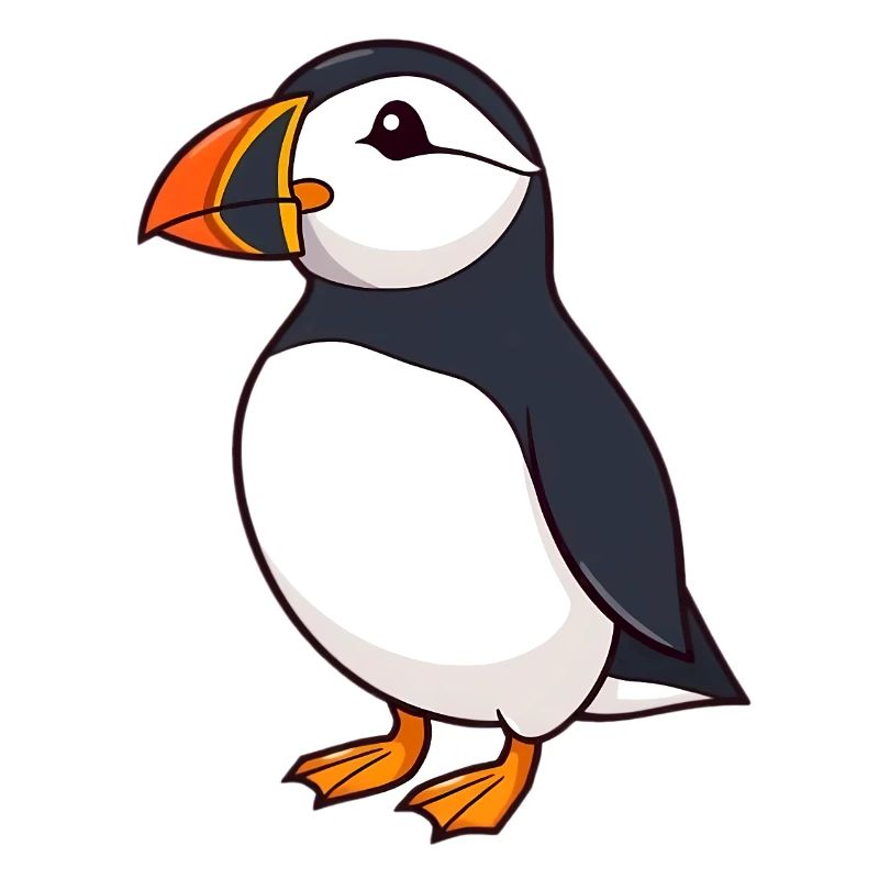 Papageientaucher Puffin