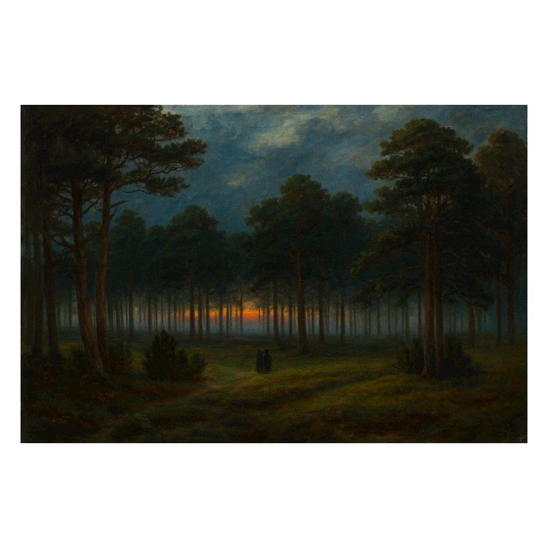 Abenddämmerung im dunklen Wald
