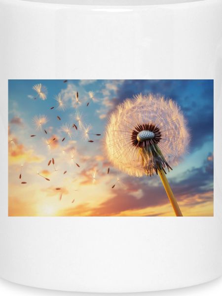 Löwenzahnflug im Abendlicht