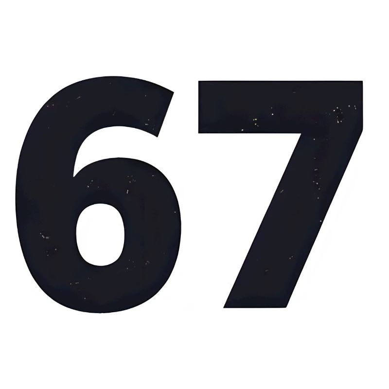 67 speaks youth language