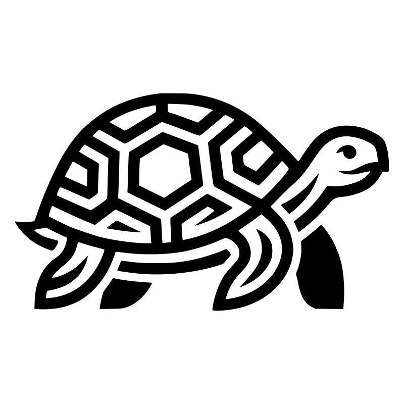 tortoise
