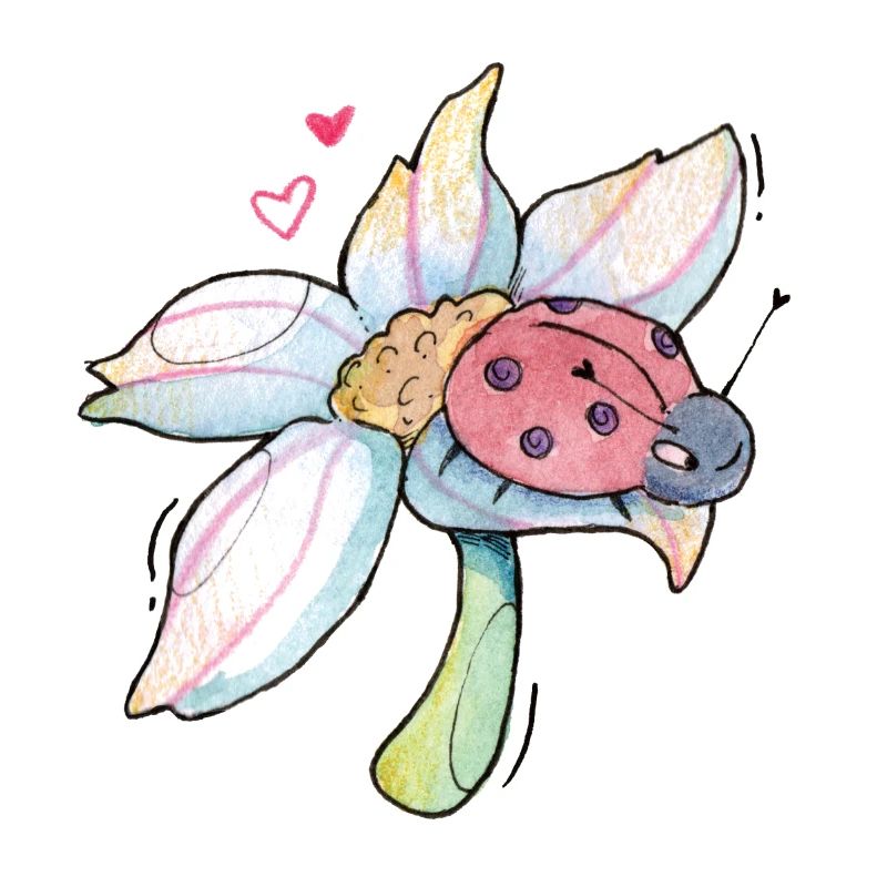 Douce Lucky Charm Ladybug sur fleur
