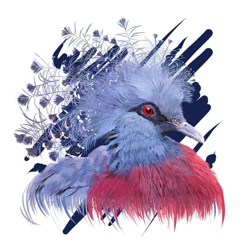 Crowned Pigeon