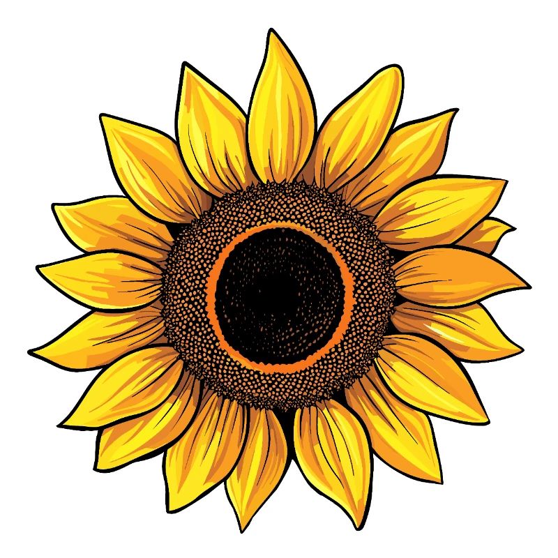 tournesol