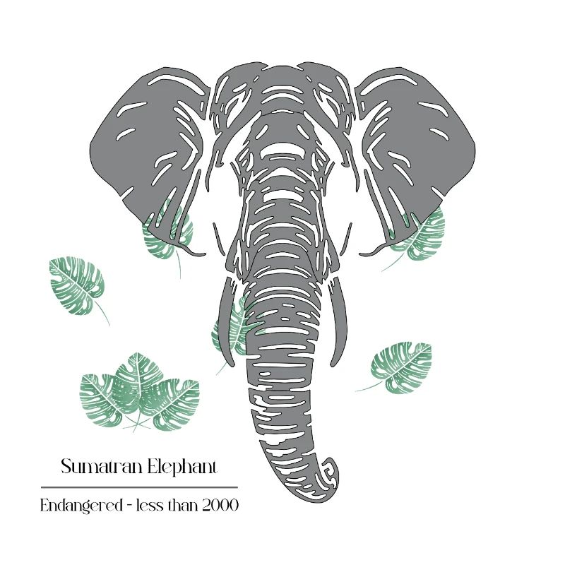 Sumatran_Elephant_-_grey