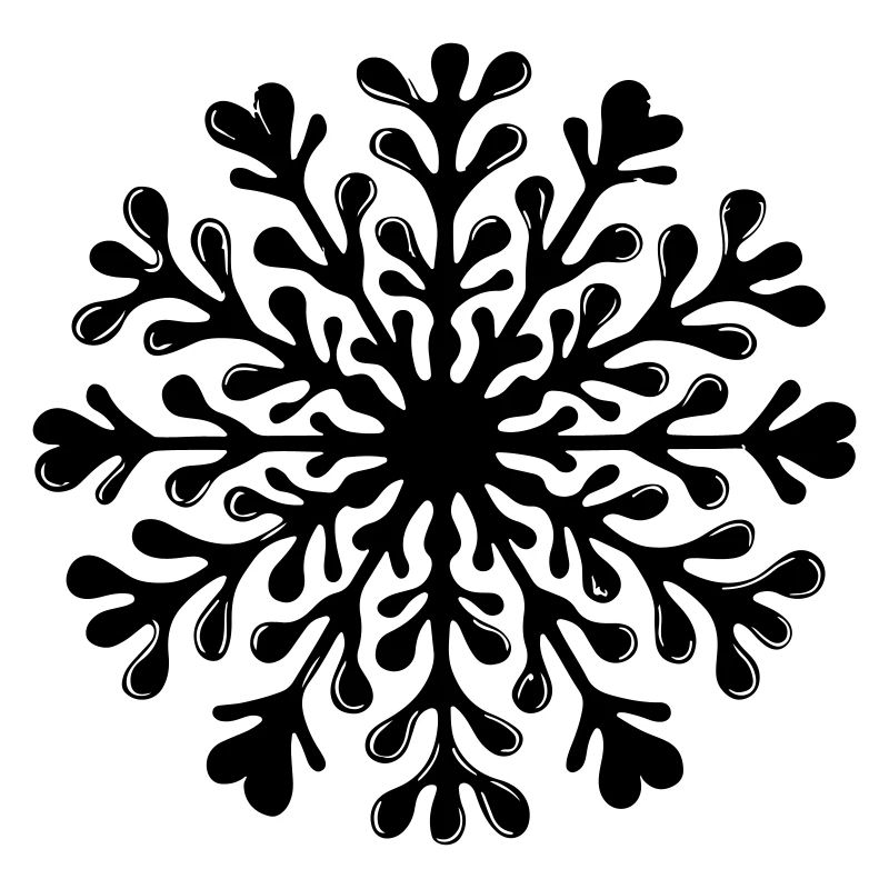 Snowflake Winter Icon