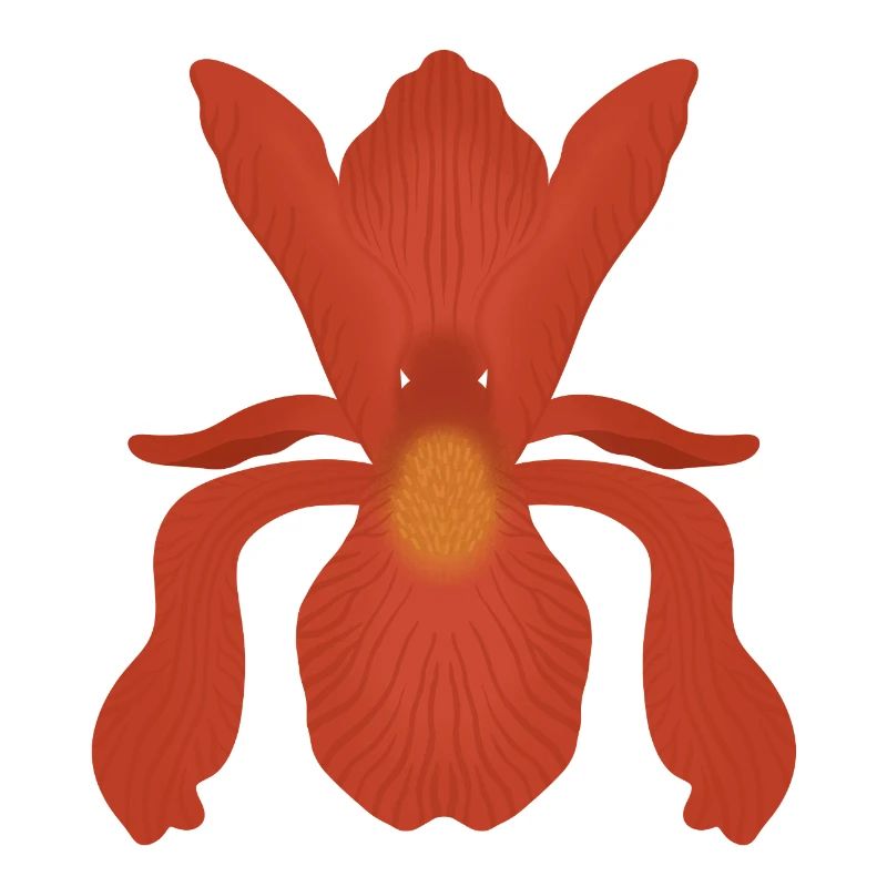 Flamme d’Iris Cramoisi