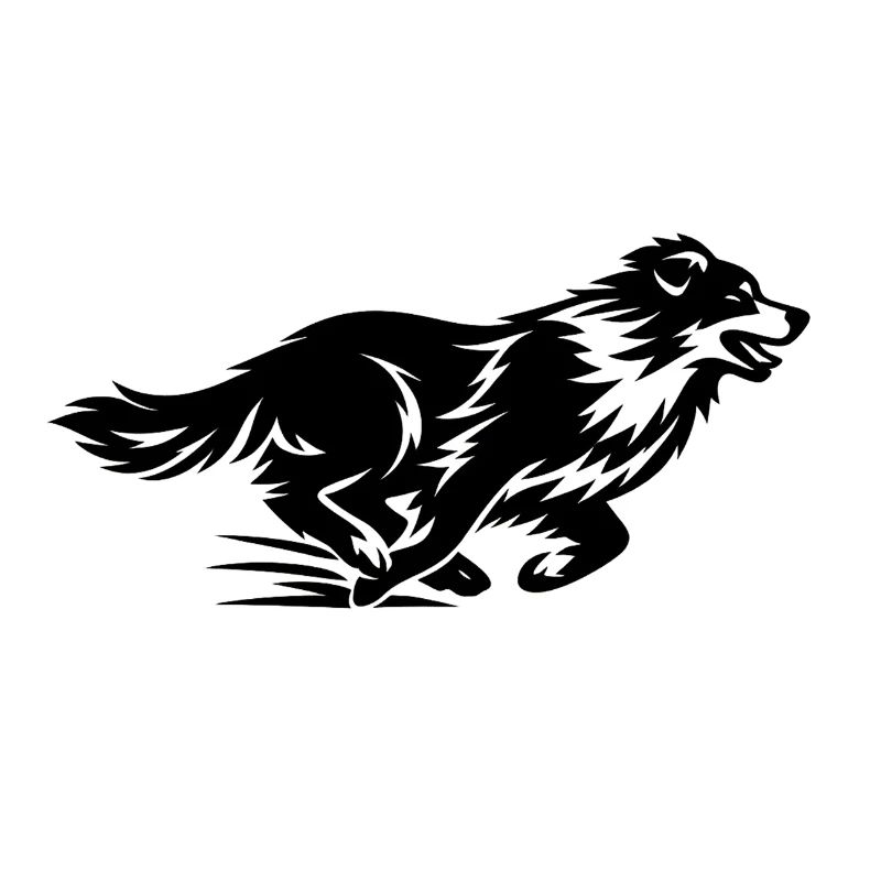 Silhouette du Border Collie en course
