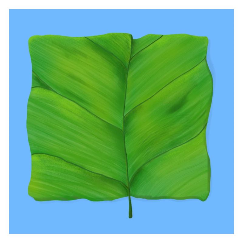 La Feuille carrée