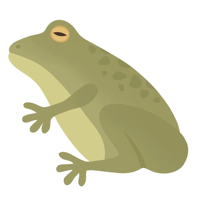 Silhouette de grenouille émeraude sur tons terreux