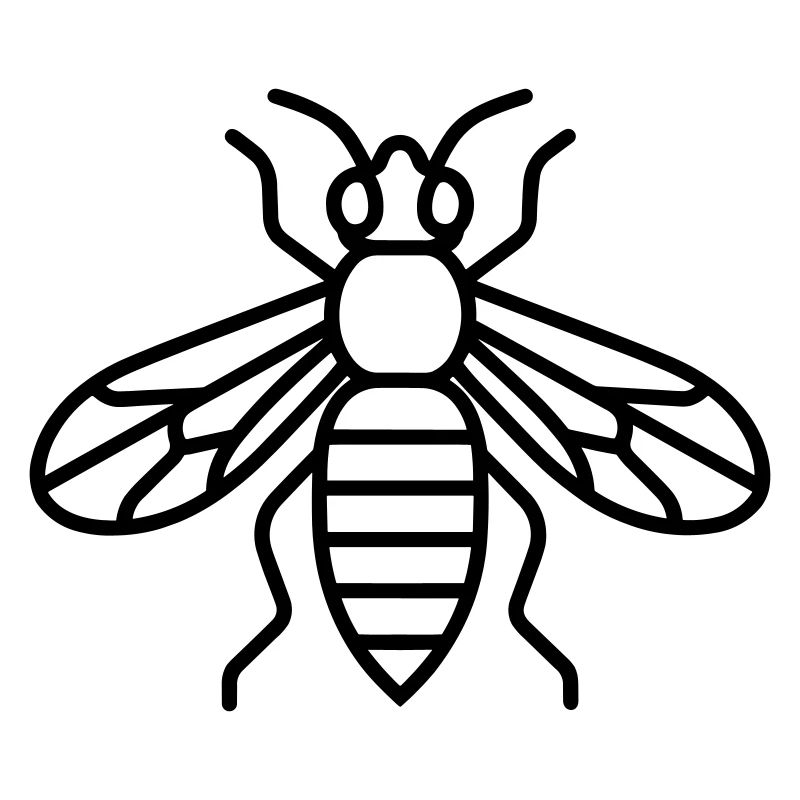wasp