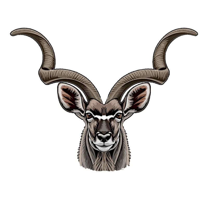 Kudu antelope