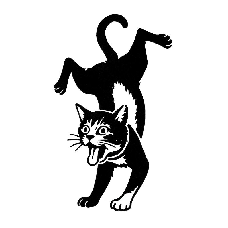 Saut de la silhouette du chat