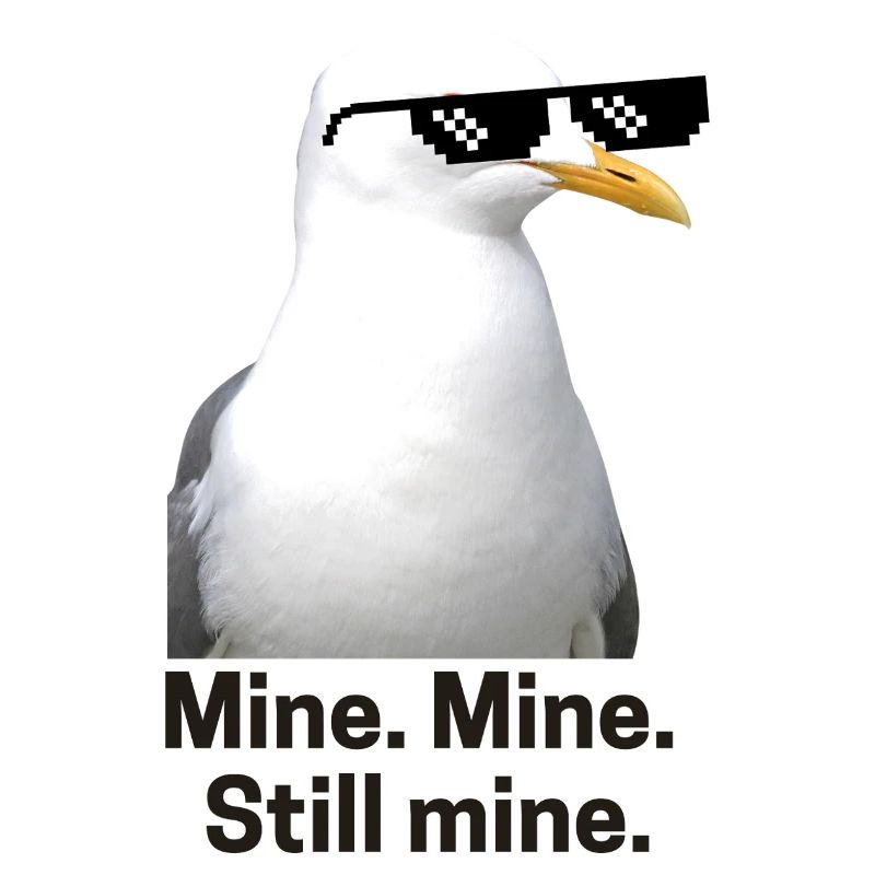 Mouette pixélisée avec lunettes de soleil Design