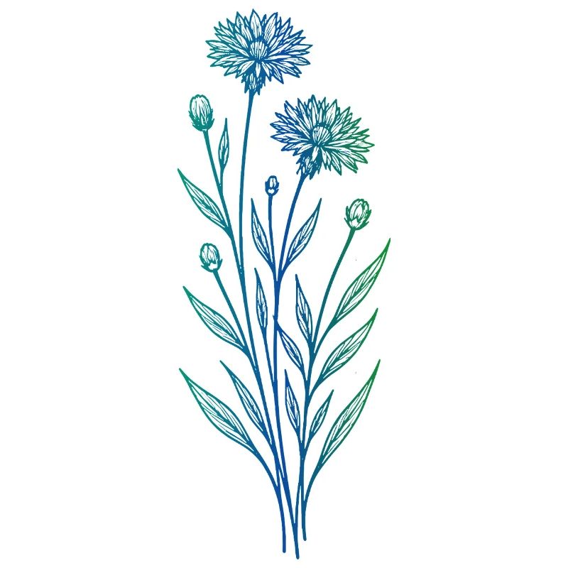 Cornflower Line Art Blue Minimalist Design