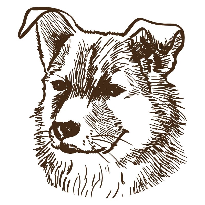 Chien
