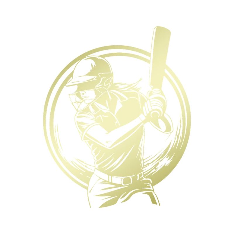 Cricket Silhouette