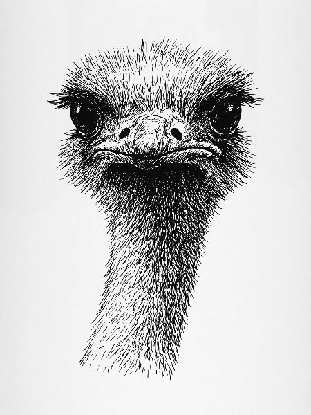 Emu Strauß Portrait
