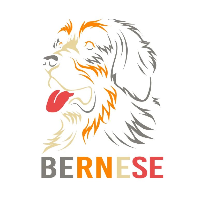 Bouvier bernois
