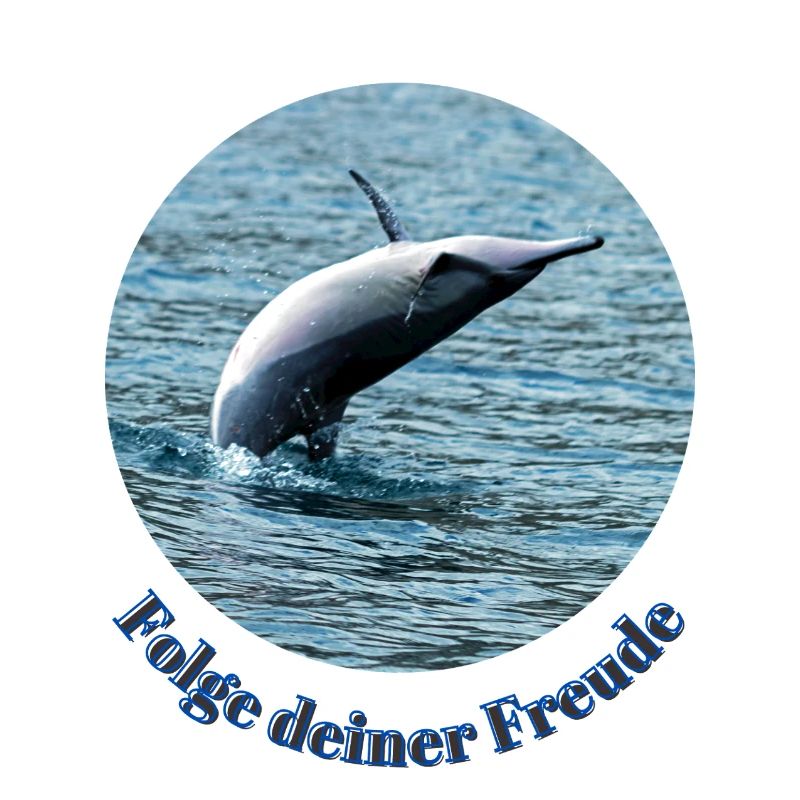 Lebensfreude pur– Springender Delfin vor Mauritius