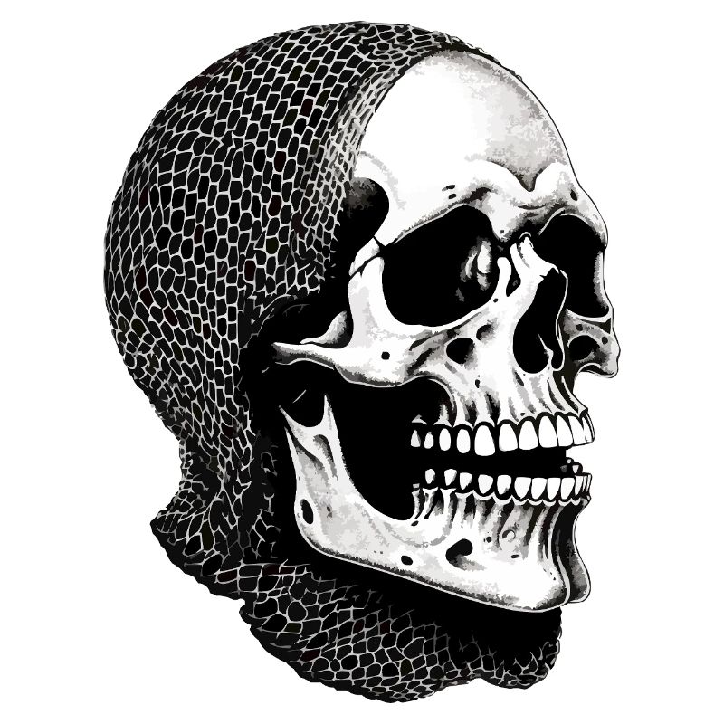 Crâne dans une écharpe en filet