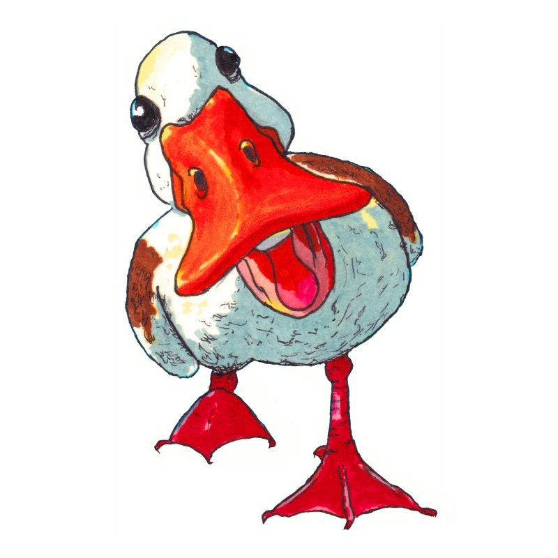 Duck
