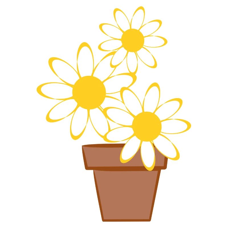 Daisies