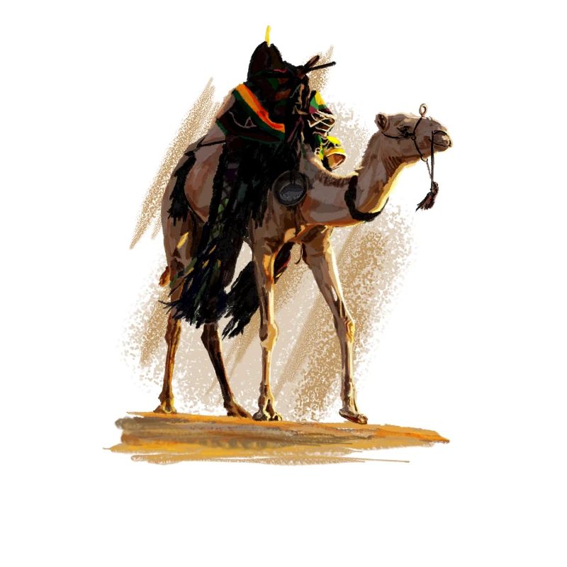 Camel