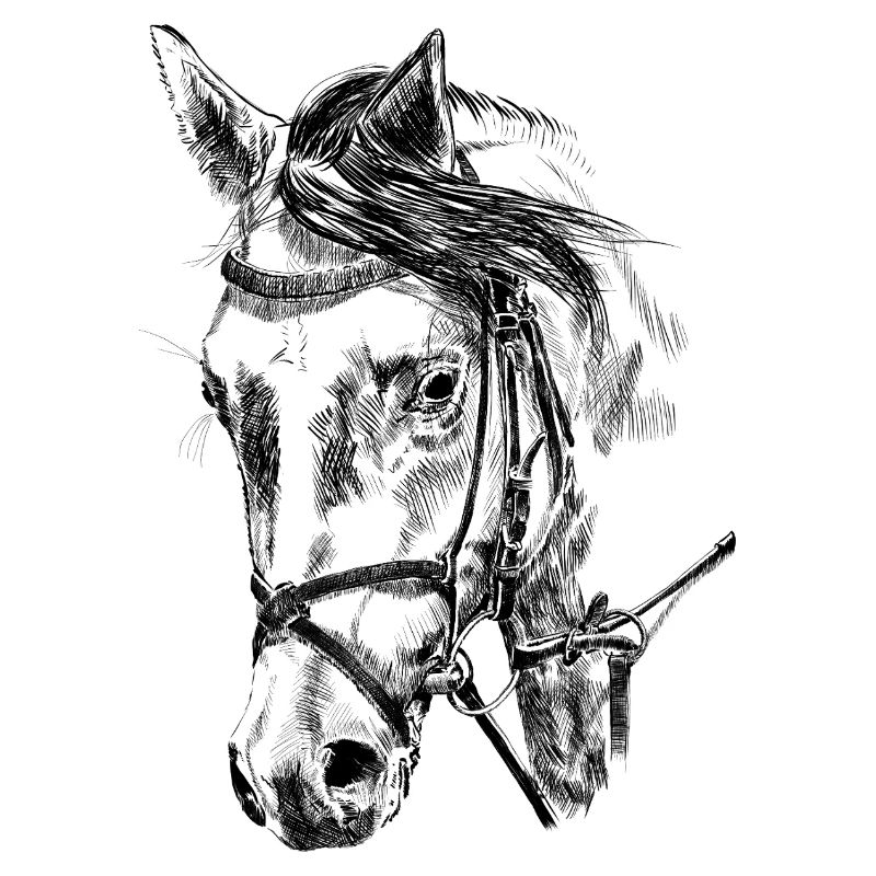Cheval