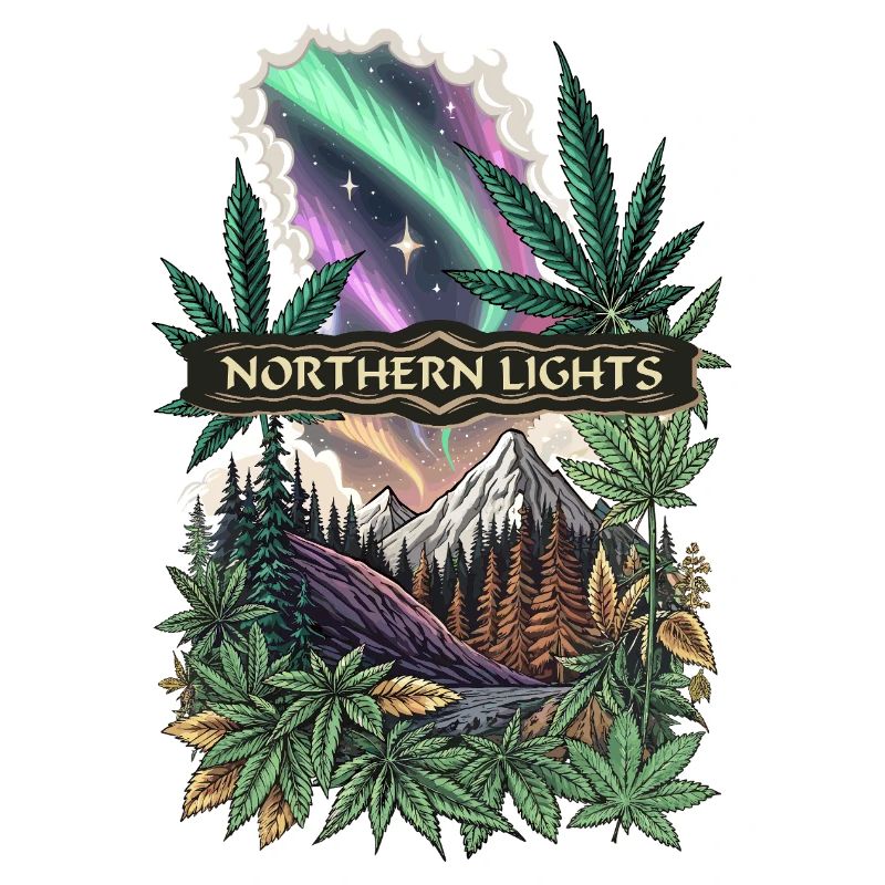 Northern Lights