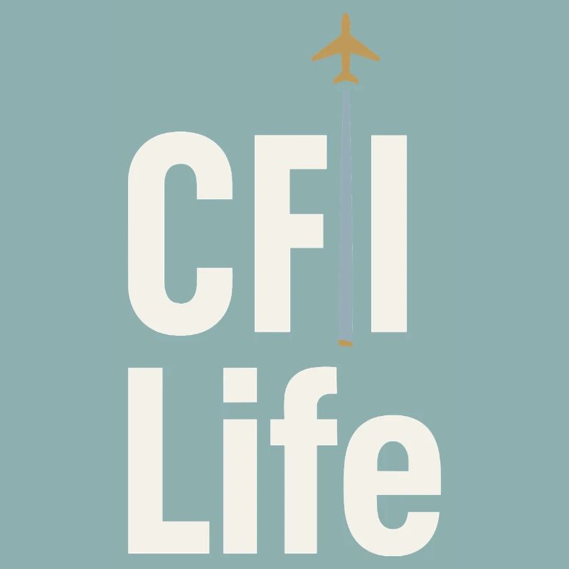 Flight Instructor Cfi Pilot Aviation Instructor