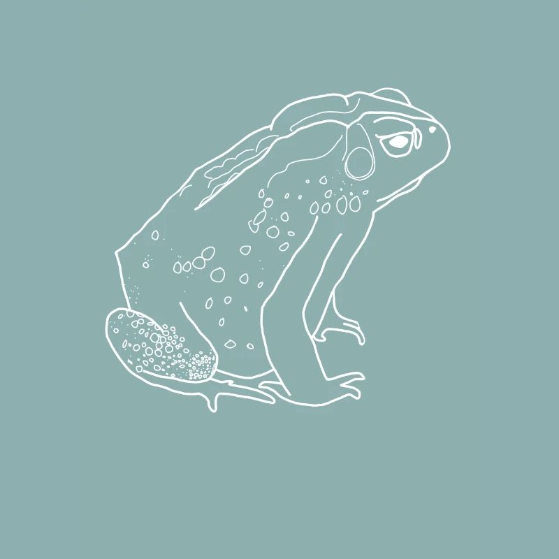 toad