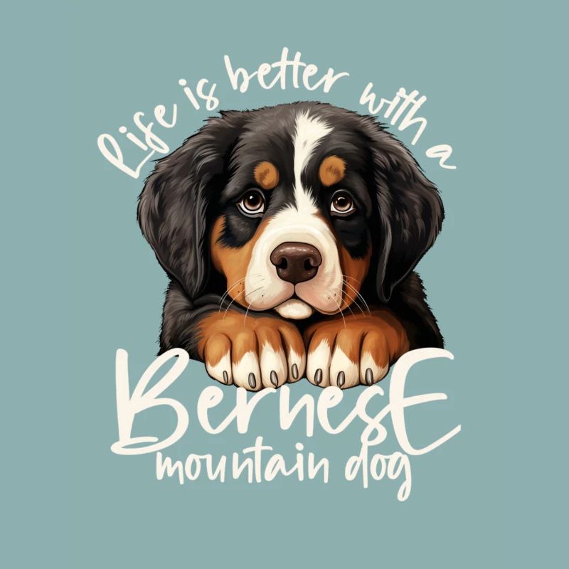 Bouvier bernois