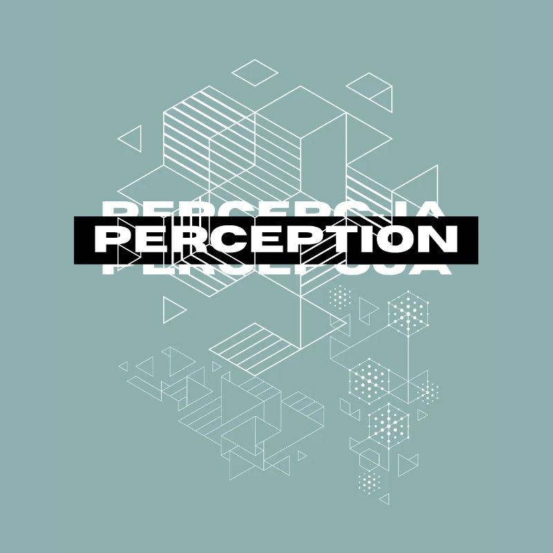 Perception Geometry Mystique