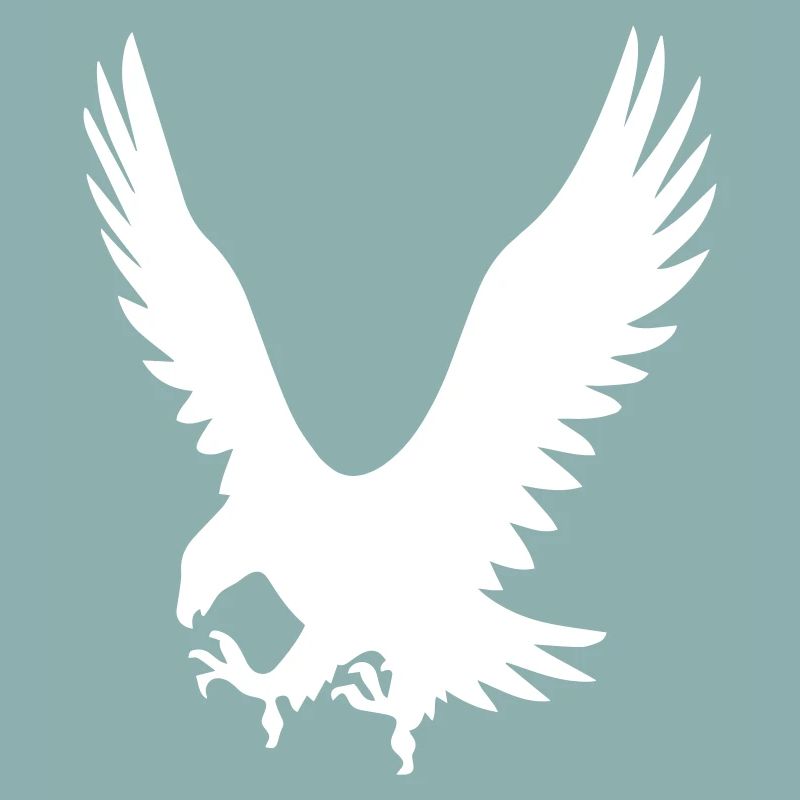 Les Eagles à l’attaque