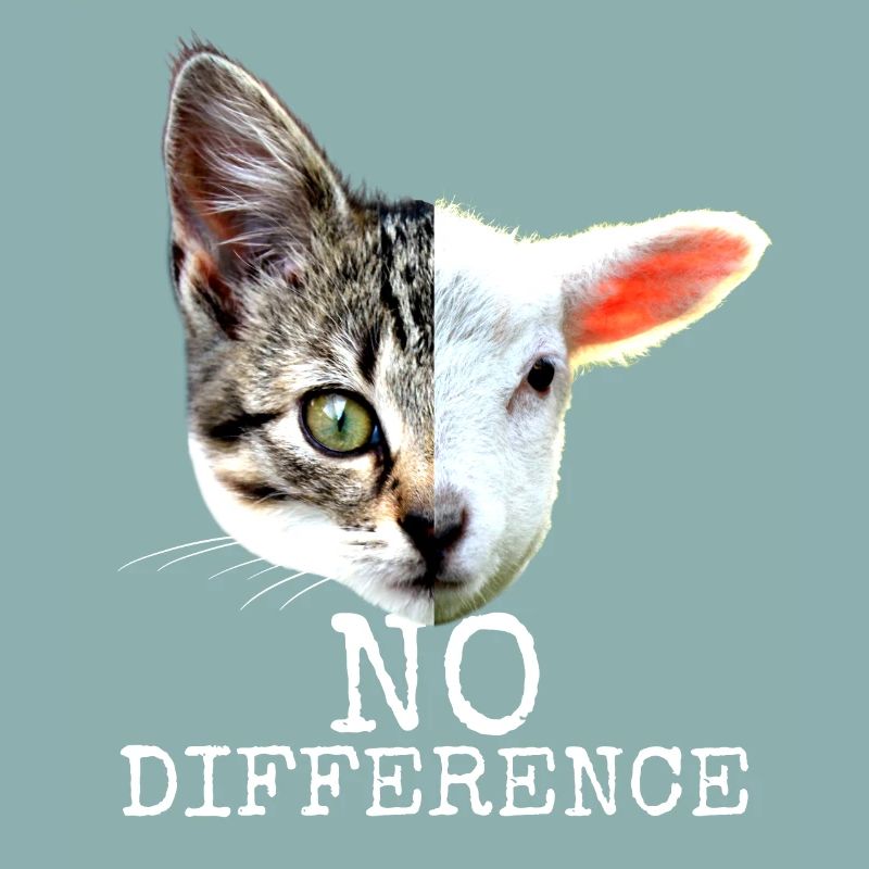 No Difference Pro Vegan Saying Vegetarian Cats