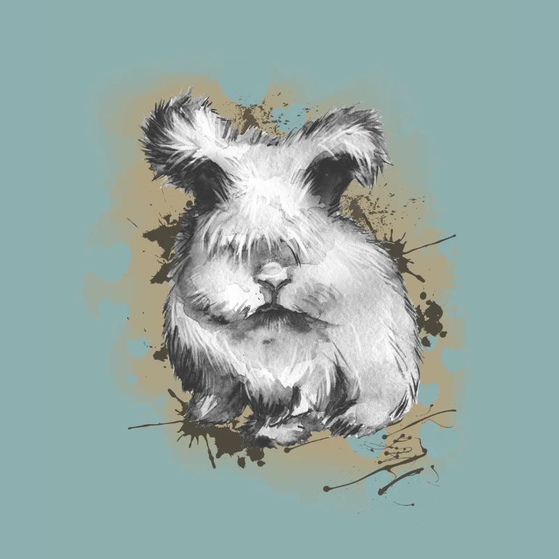 Rabbit