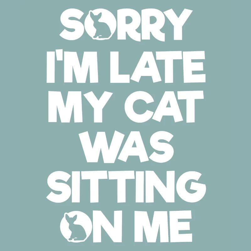 Chaton chat
