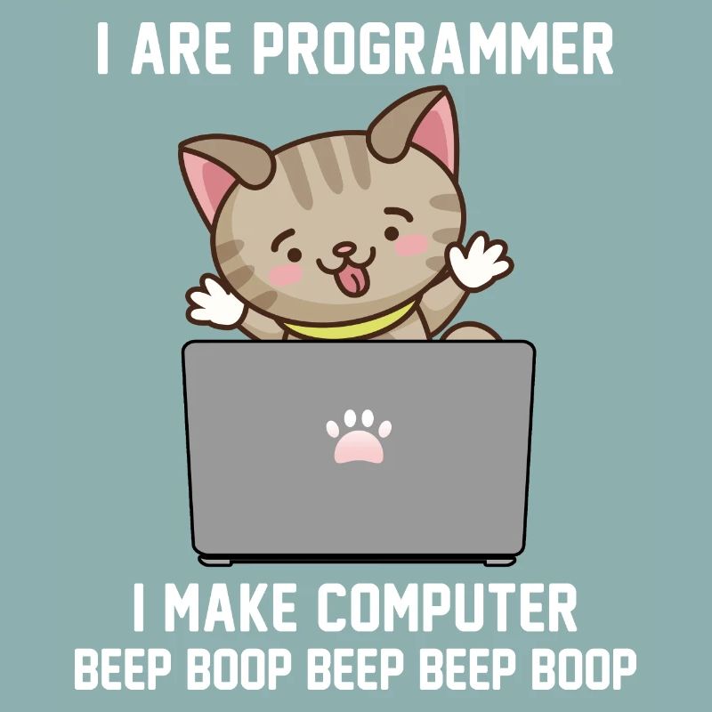Programmeur