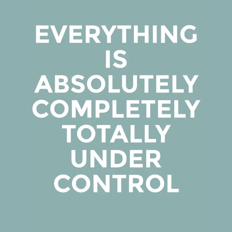 Everything Is Under Control – Funny Saying