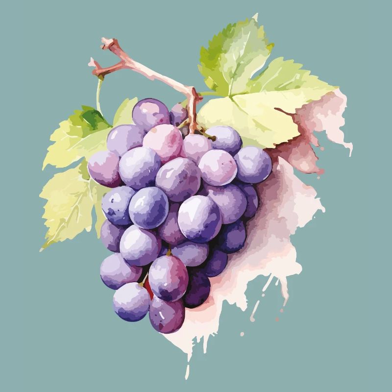 Grappe d’aquarelle de raisins