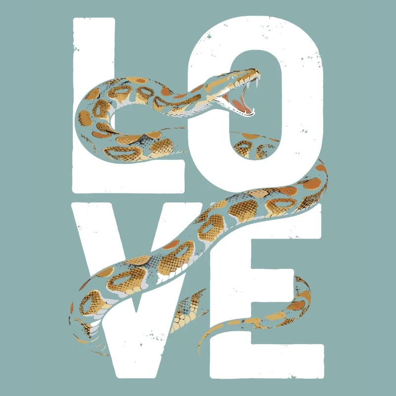 Königspython Schlangen LOVE Terrarium Python