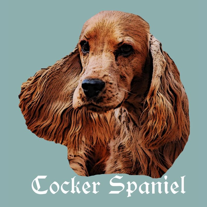 Cocker Spaniel,Spaniel,Dog Head,Pedigree Dog,