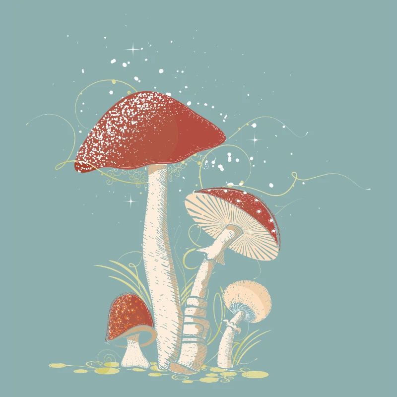 Magical toadstools in the forest illustrated
