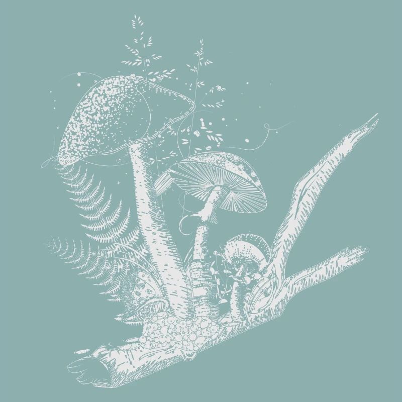 composition dessinée champignons forestiers, graminées et branches