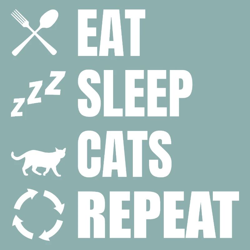 Manger dormir chats répéter