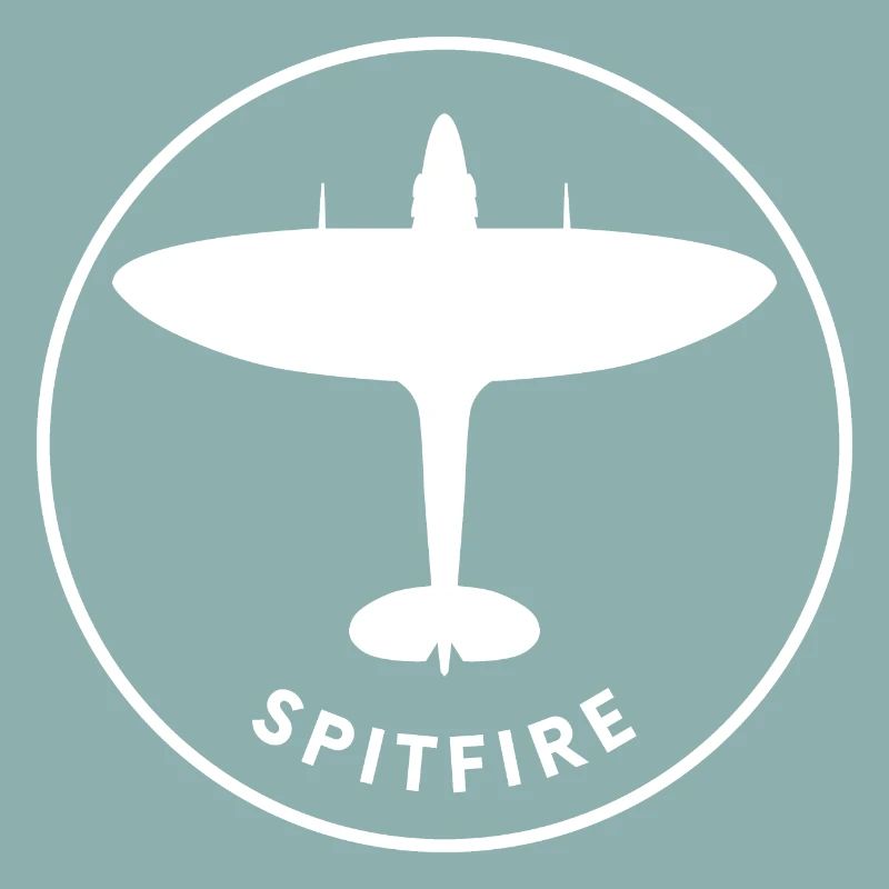 Avion de chasse de Spitfire