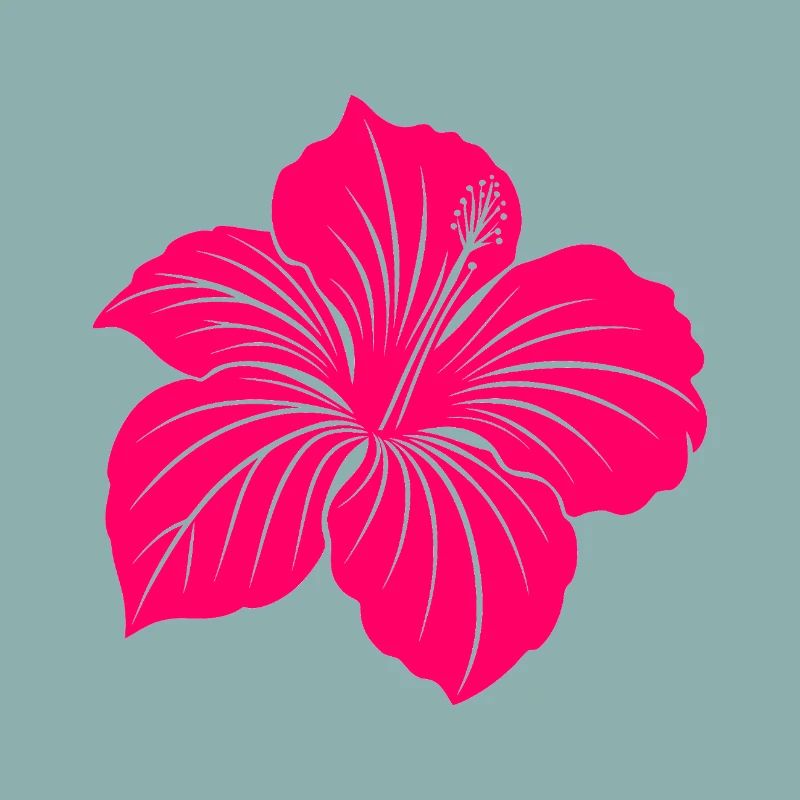 Fleur d’hibiscus