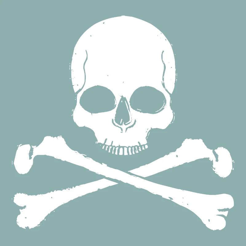 Skull Cross Pattern Skull