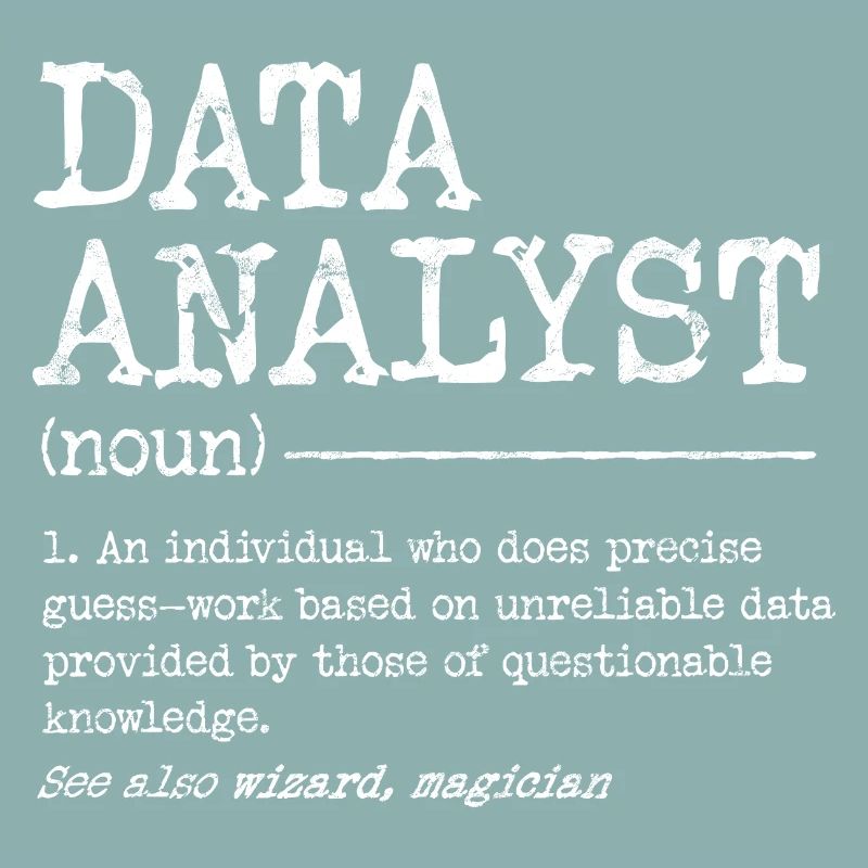Data Analyst Meme Tee